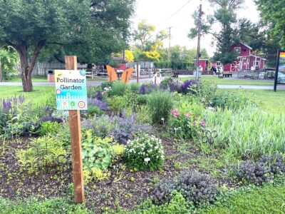 Zoo News: Horticulture enhances guest experiences
